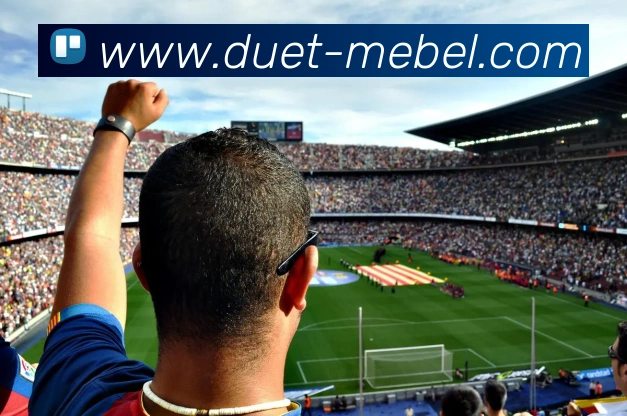 广发体育品牌故事