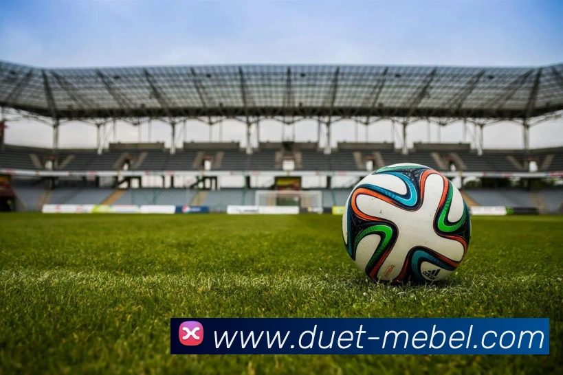 广发体育服务体系